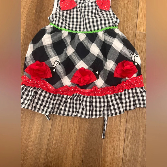 Youngland Baby Girl Party & Summer Ladybug Flower Dress Size 12m Red Black Plaid - Picture 3 of 4